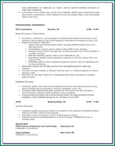 Business Intelligence Director Resume Sample