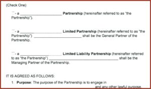 Business Partnership Agreement Template Uk Free