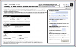 Cal Osha Form 300 300a 301