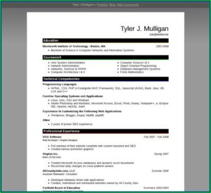 Can Someone Write My Resume For Me