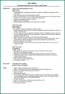 Car Sales Executive Cv Template