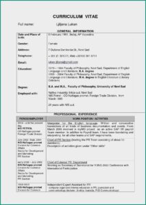 Civil Engineer Resume Format Free Download