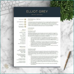 Classy Resume Templates