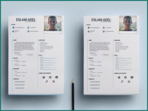 Clean Cv Resume Template Free Download