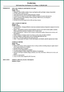 Company Car Driver Resume