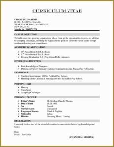 Create New Resume Format For Freshers