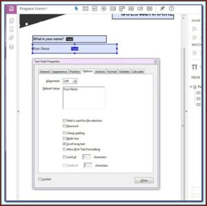 Creating Fillable Forms In Indesign