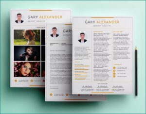 Current Professional Resume Templates