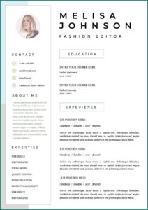 Curriculum Vitae (cv) Template