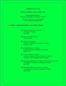 Curriculum Vitae Samples For Accountants