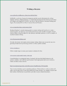 Cv Template For Chef