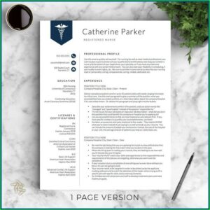 Doctor Resume Template Word