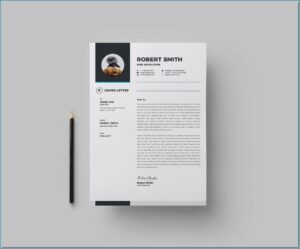 Download Premium Resume Templates