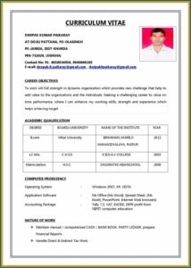 Downloadable Resume Templates Pdf