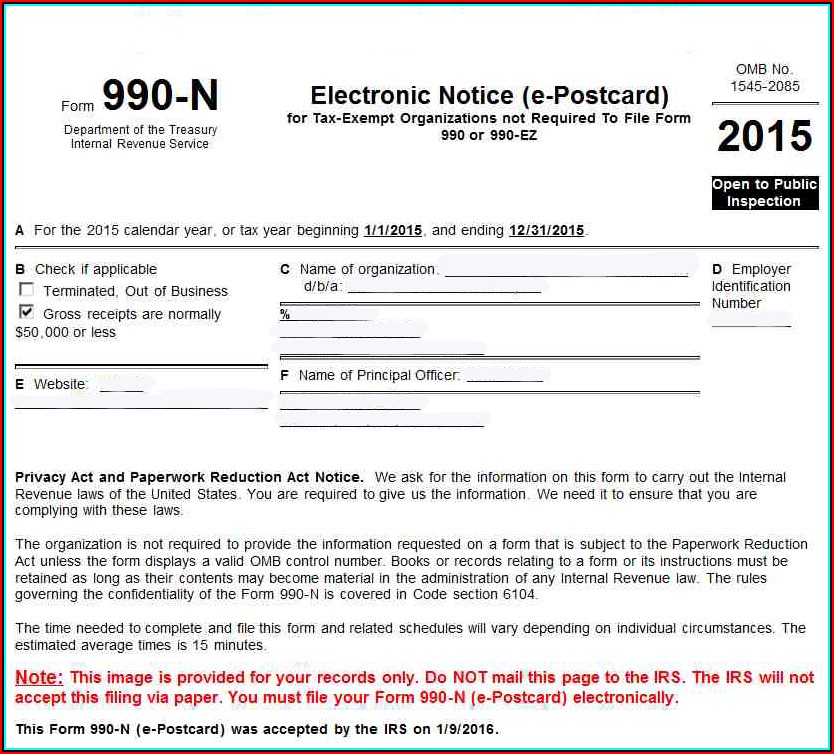 E Postcard File Your Electronic Irs Form 990 N