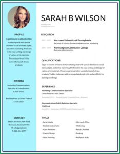 Editable Resume Download