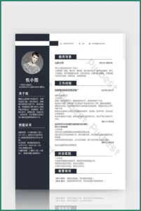 Electrical Engineer Resume Templates Word