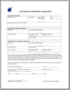 Emergency Guardianship Forms Mn
