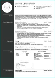 Er Registered Nurse Resume Examples