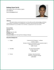 Example Of Resume Format