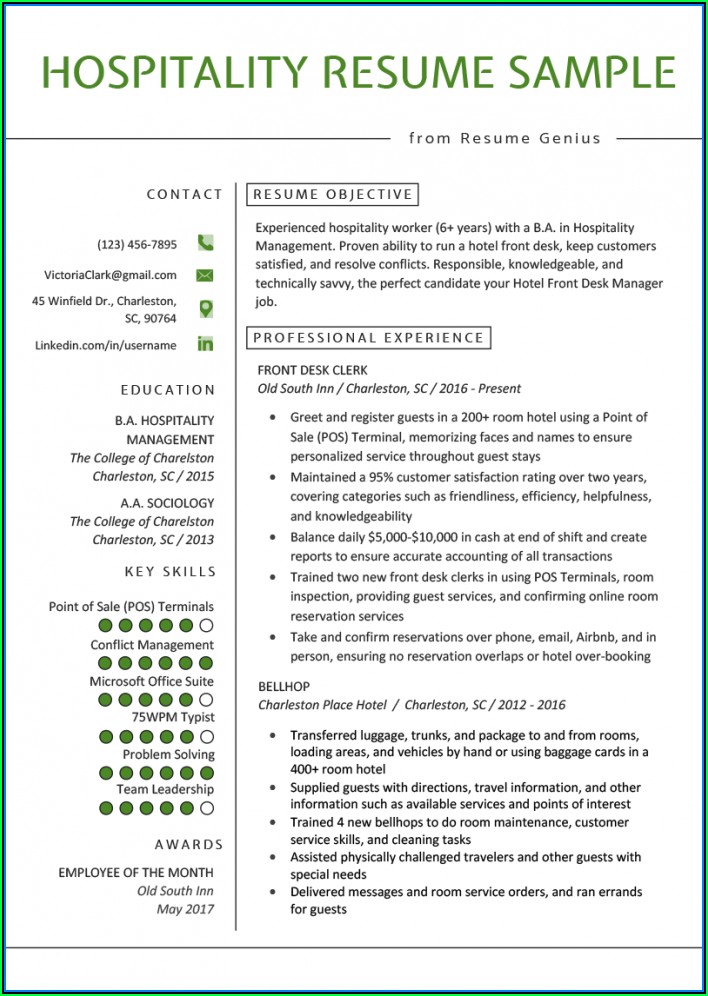 Example Of Resume Writing
