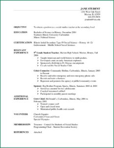 Examples Of Resume Format