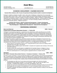 Executive Director Resume Example