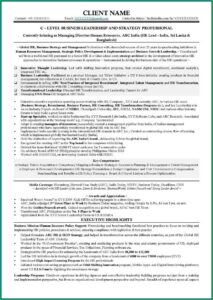 Executive Director Resume Template Free