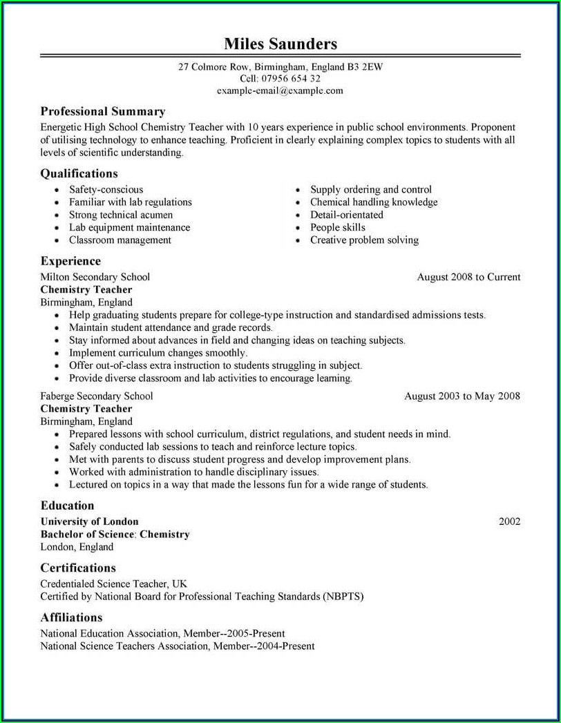 Executive Director Resume Template Word