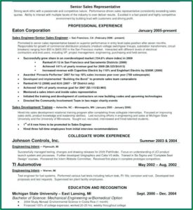 Executive Sales Professional Resume Template
