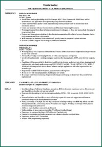 Experienced Php Programmer Resume
