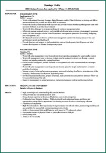 Field Sales Executive Cv Template