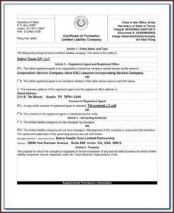 Forming A Delaware Llc