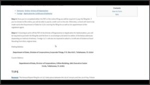 Forming An Llc In Florida Online