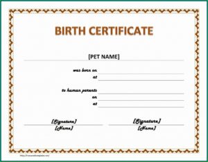 Free Blank Resumes To Print