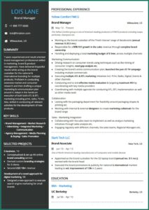 Free Combination Resume Template 2019