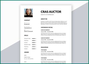 Free Creative Resume Template Word