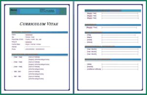 Free Download Cv Templates In Ms Word