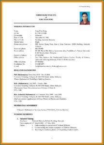 Free Download Sample Resume For Lecturer