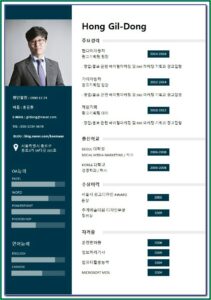 Free Editable Infographic Resume Templates