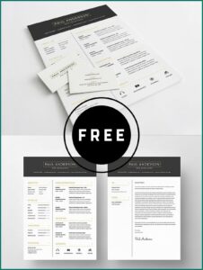 Free Editable Resume Templates 2019