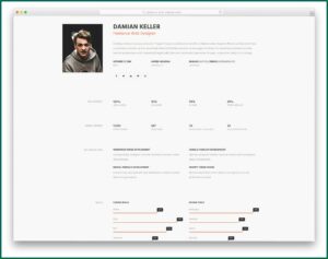 Free Effective Resume Templates