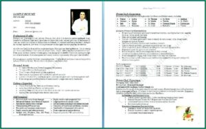 Free Executive Chef Resume Templates