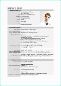 Free Executive Resume Templates 2017