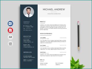 Free Executive Resume Templates 2019