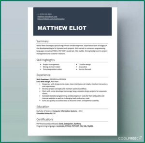 Free Online Editable Resume Templates