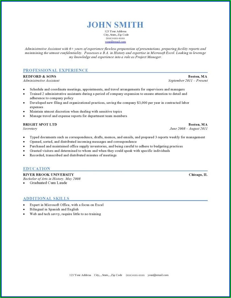 Free Professional Chronological Resume Template