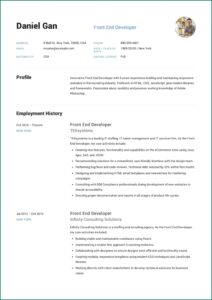 Free Professional Resume Samples Pdf
