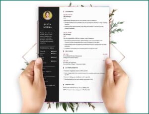 Free Resume Builder No Cost To Download