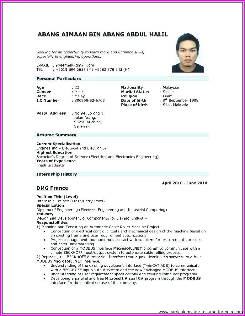 Free Resume Examples Download